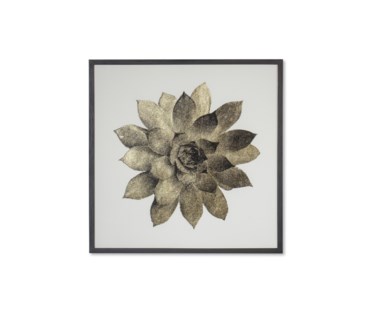 Gold Succulent C